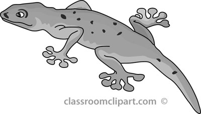 gecko-clipart-gray.jpg