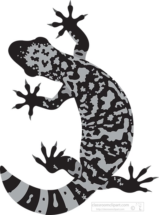 gila-monster-venomous-lizard-reptile-educational-clip-art-graphic-gray-color.jpg