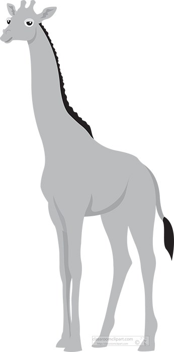 giraffe-gray-color-23c.jpg