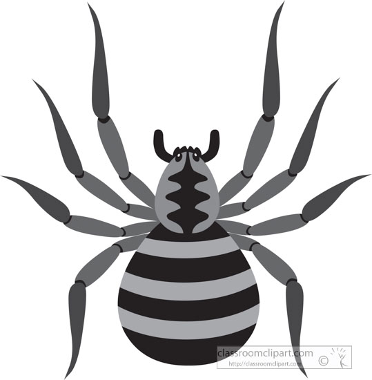 gray-clipart-of-brown-spider.jpg