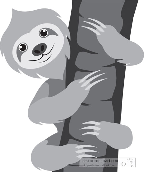 gray-clipart-sloth-hanging-on-tree-branch.jpg