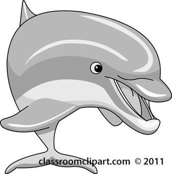gray-dolphin-2012.jpg