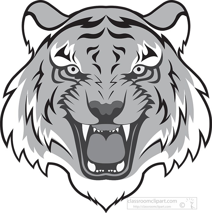 head-of-tiger-shows-open-mouth-with-teeth-gray-color.jpg