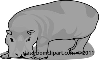 hippopotamus-0509-gray.jpg