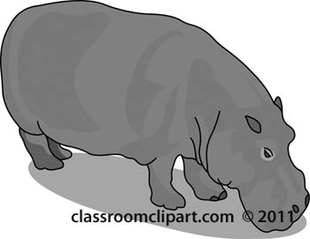 hippopotamus-gray-51809.jpg