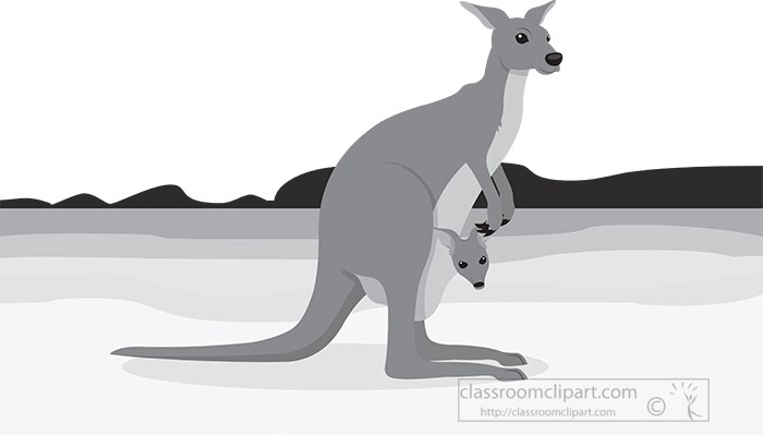kangaroo-with-joey-on-beach-in-australia-gray-color.jpg