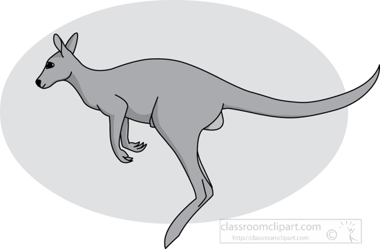 kangaroo_jumping_212_03_gray.jpg
