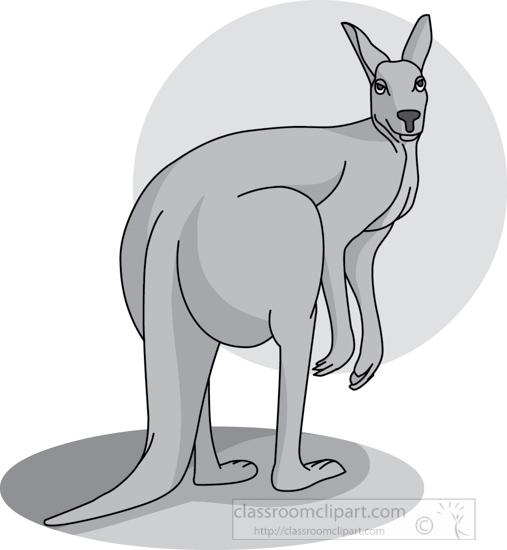 kangaroo_standing_side_view_212_1_gray.jpg