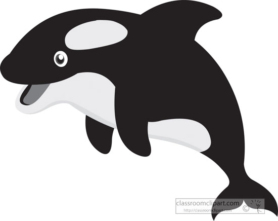 killer-whale-orca-marine-life-gray-clipart.jpg