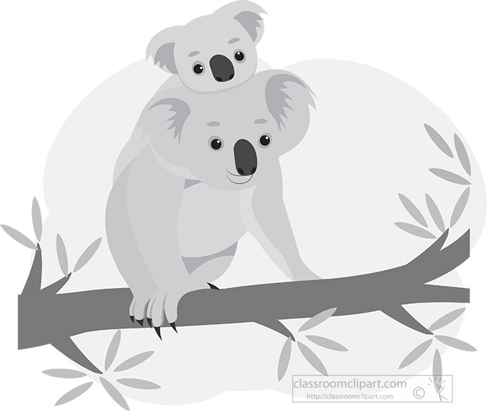 koala-mom-with-baby-on-tree-branch-gray-color.jpg