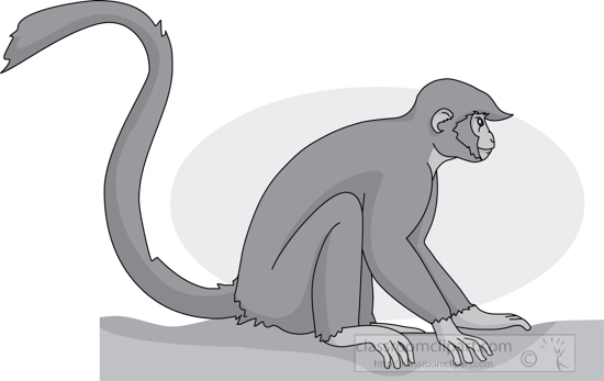 monkey_sitting_01A_gray.jpg