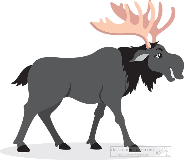 moose-alaska-gray-color.jpg