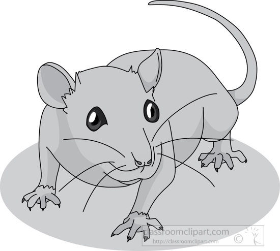 mouse_03A_gray.jpg