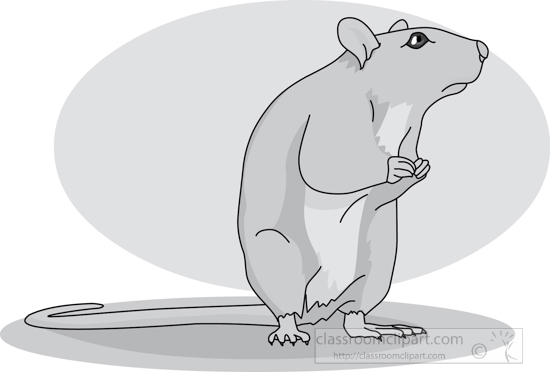 mouse_standing_01A_gray.jpg