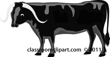 ox-animal-gray.jpg