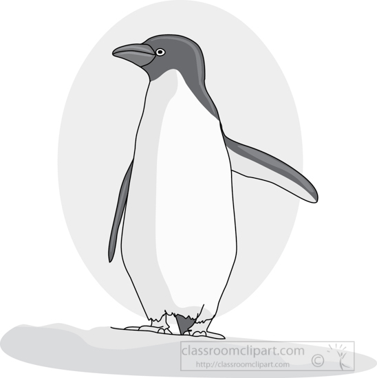 penguin_314_02A_gray.jpg