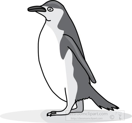 penguin_314_03_gray.jpg