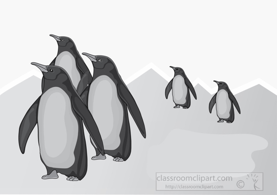 penguin_3812_3b_gray.jpg