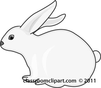 pink-rabbit-608-gray.jpg