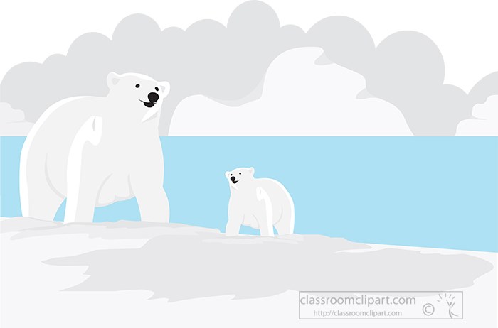 polar-bear-in-the-arctic-sea-environment-gray-color.jpg