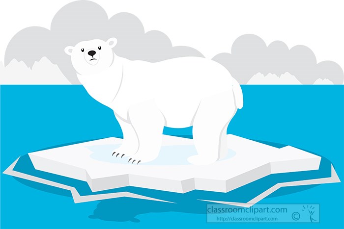 polar-bear-on-artic-ice-gray-color.jpg