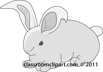 rabbit-animal-0608-gray.jpg