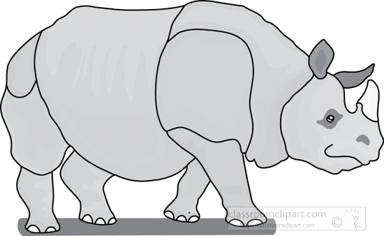 rhinoceros_327_3A_gray.jpg