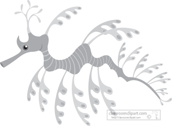 sea-dragon-marine-animal-gray-clipart.jpg
