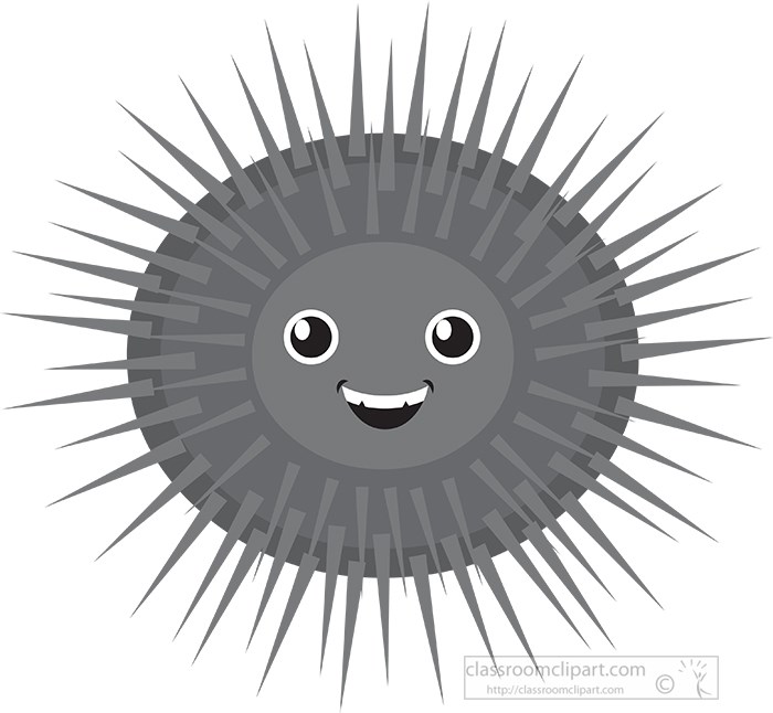 sea-urchin-gray-color.jpg