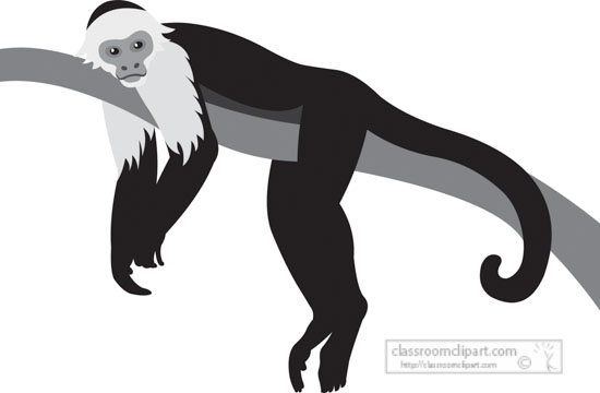 Animals Gray and White Clipart - spider-monkey-resting-on-tree-branch-gray-clipart  - Classroom Clipart