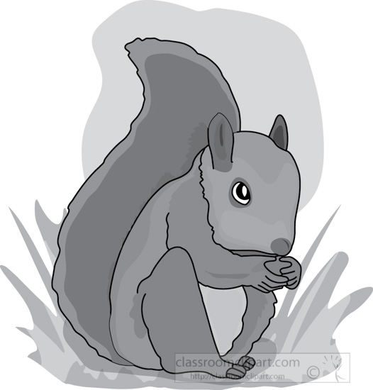 squirrel_eating_4_gray.jpg