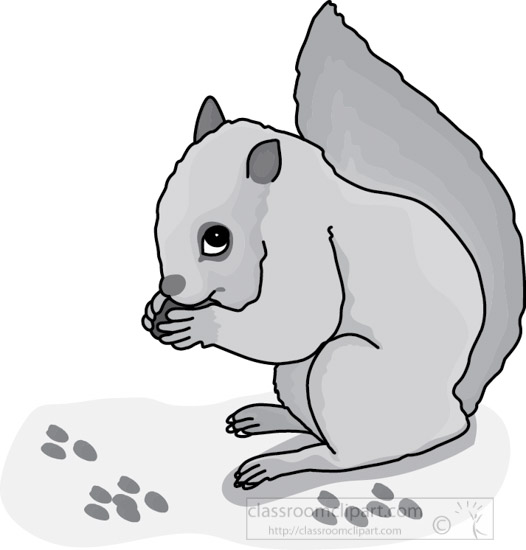 squirrel_eating_nuts_31012_gray.jpg