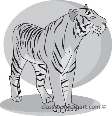 tiger_32804_gray.jpg