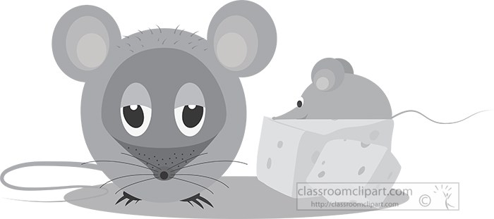 two-mice-with-one-on-top-of-cheese-gray-color.jpg