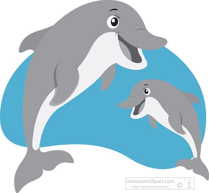 two-playful-dolphin-gray-color.jpg