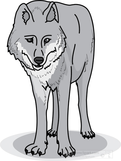wolf_328_05_gray.jpg