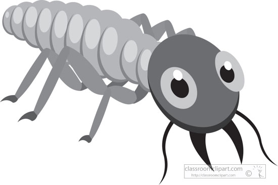 wood-eating-termite-insect-gray-clipart.jpg