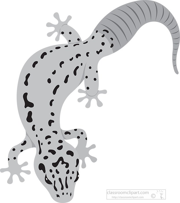 yellow-gecko-lizard-reptile-educational-clip-art-graphic-gray-color.jpg
