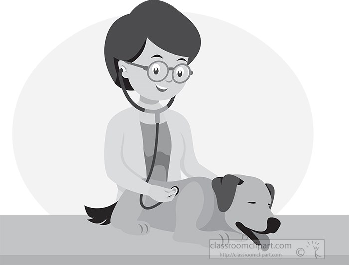 female-veterinary-examing-a-dog-gray-color.jpg