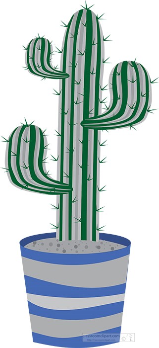cactus-in-a-colorful-ceramic-planter-pot-gray-color.jpg