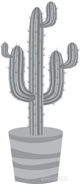 tall-cactus-in-a-ceramic-planter-pot-gray-color.jpg