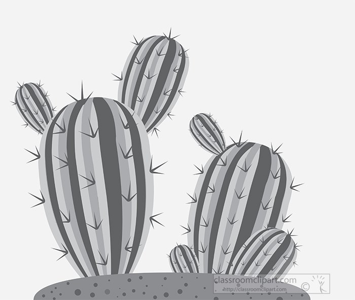 two-growing-cactus-vector-gray-color.jpg