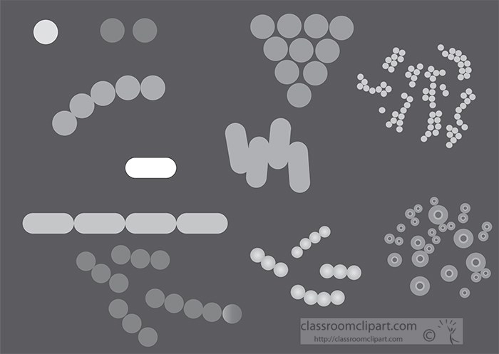 different-types-and-shapes-of-bacteria-vector-gray-color.jpg