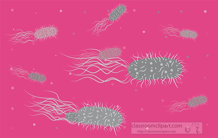 many-bacteria-with-flagella-and-pili-vector-gray-color.jpg