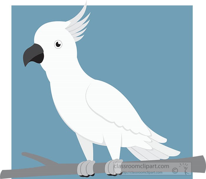 cockatoo-bird-gray-color-clipart.jpg