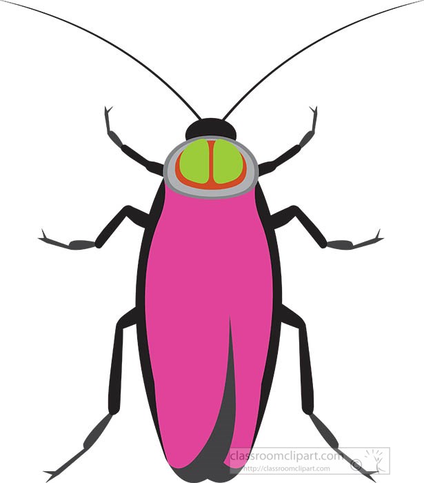 cockroach-insect-gray-color-clipart.jpg