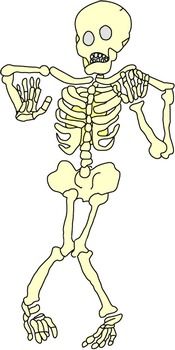 skeleton2a.jpg