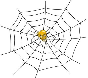 spider_web-33b.jpg