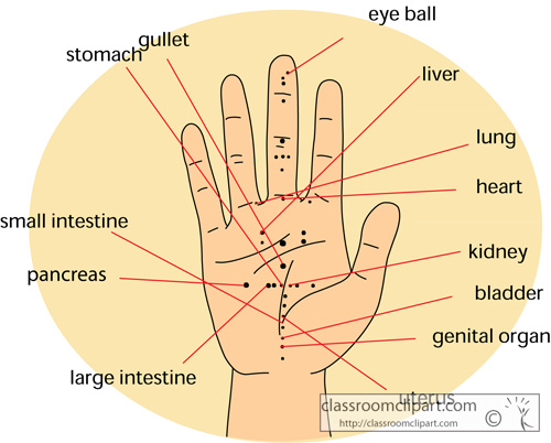 acupuncture_hand_chart_05.jpg