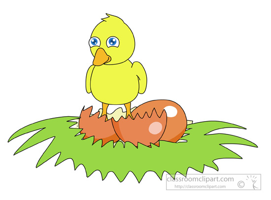 duckling-hatching-from-egg-on-grass.jpg